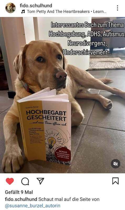 Fido Schulhund