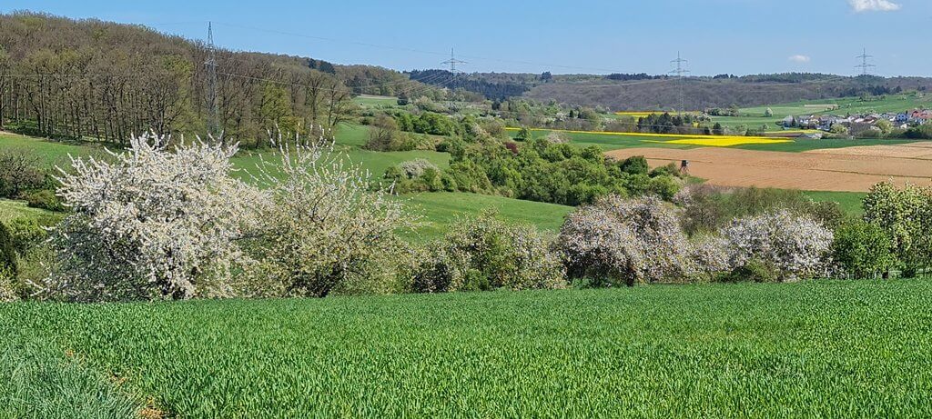Lahnau April 2025