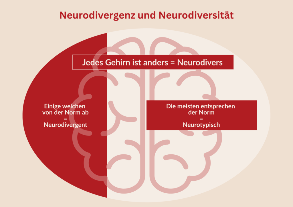 Unterschied Neurodivergenz und Neurodiversität