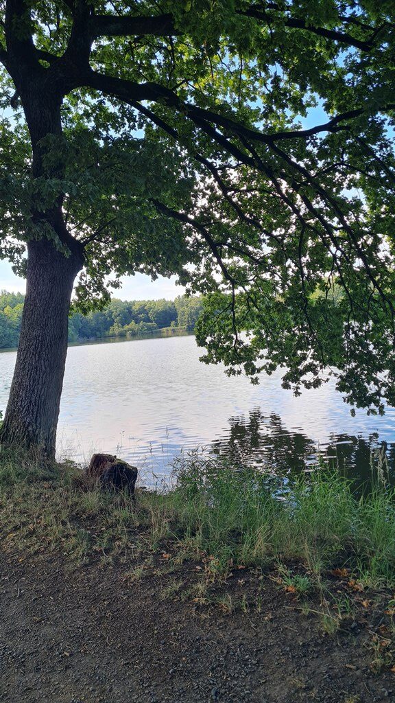Idylle am Secker Weiher