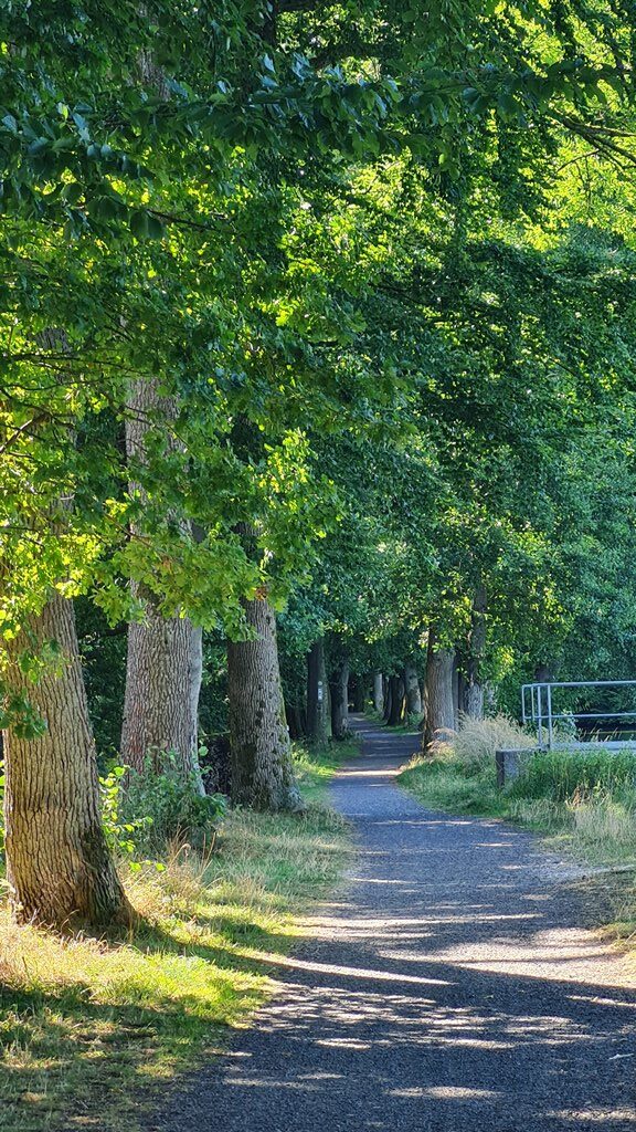 Idyllischer Waldweg am Secker Weiher