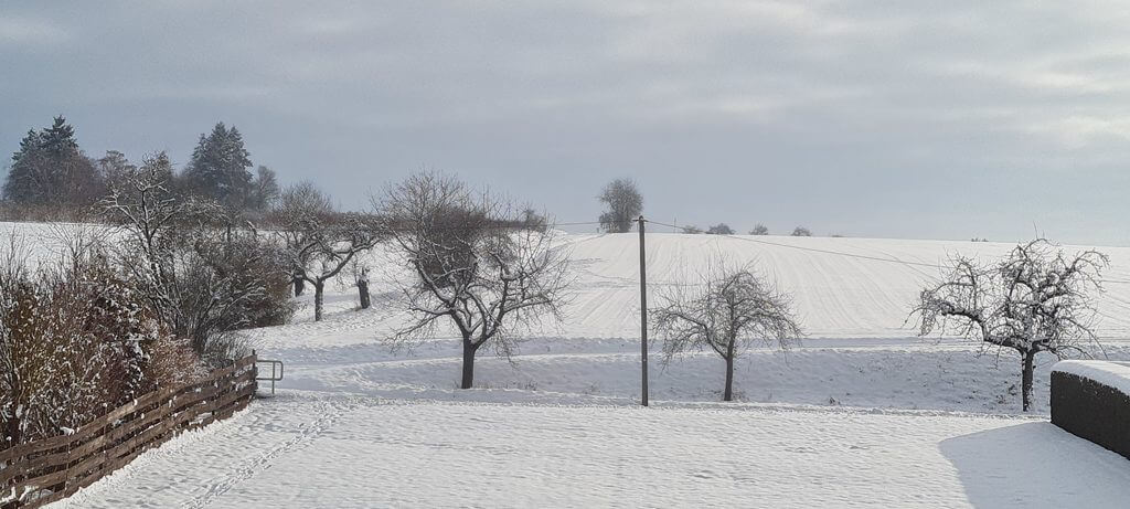 Winterlandschaft