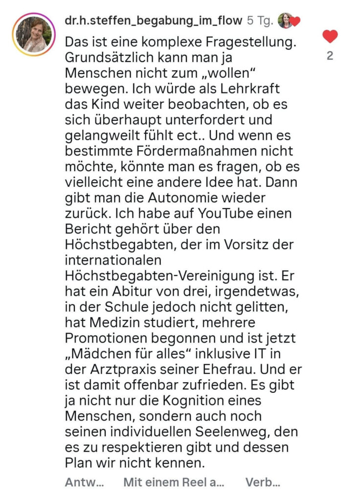 Hochbegabung im Unterricht fördern