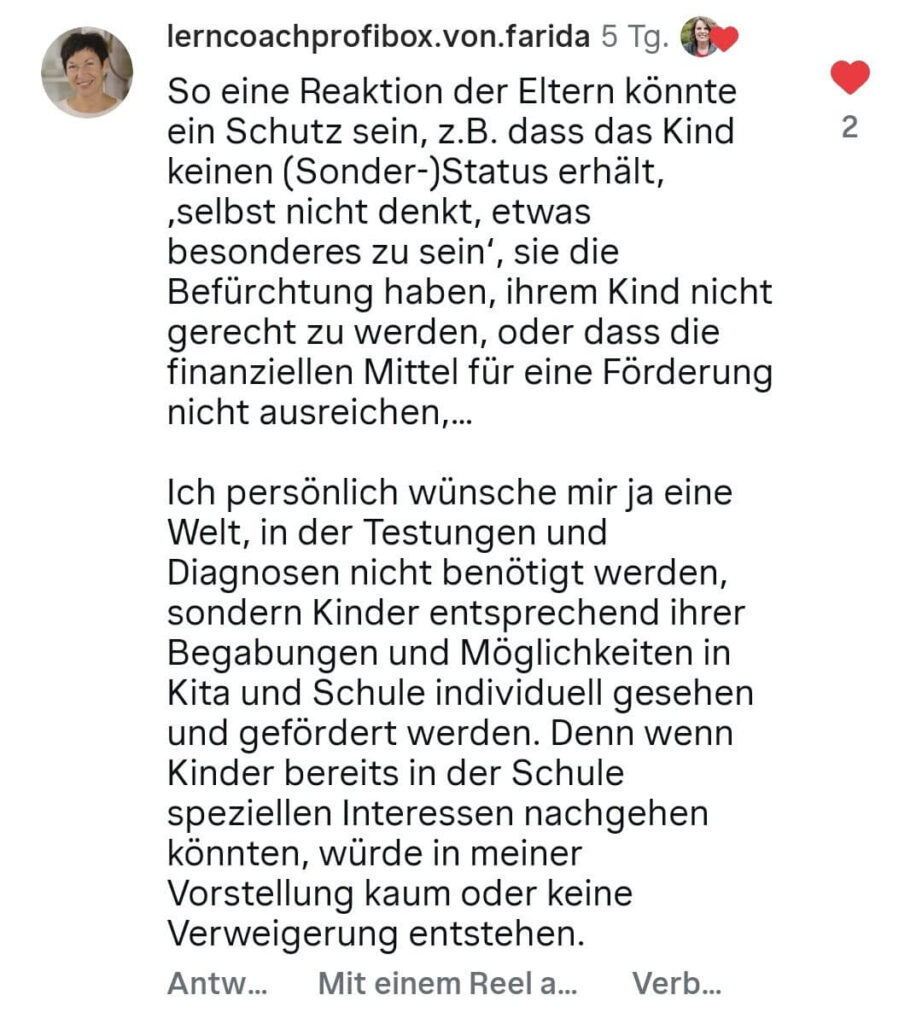 Hochbegabung im Unterricht fördern