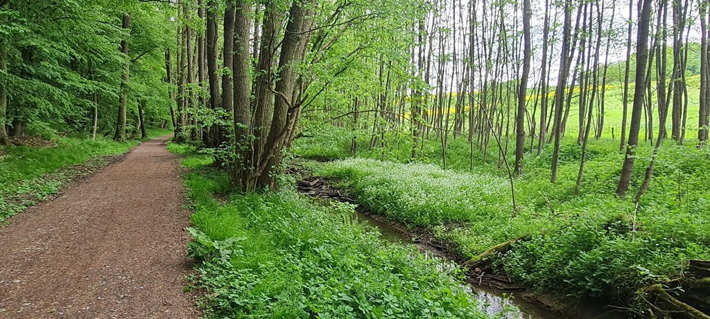 Omm-Weg in Lahnau